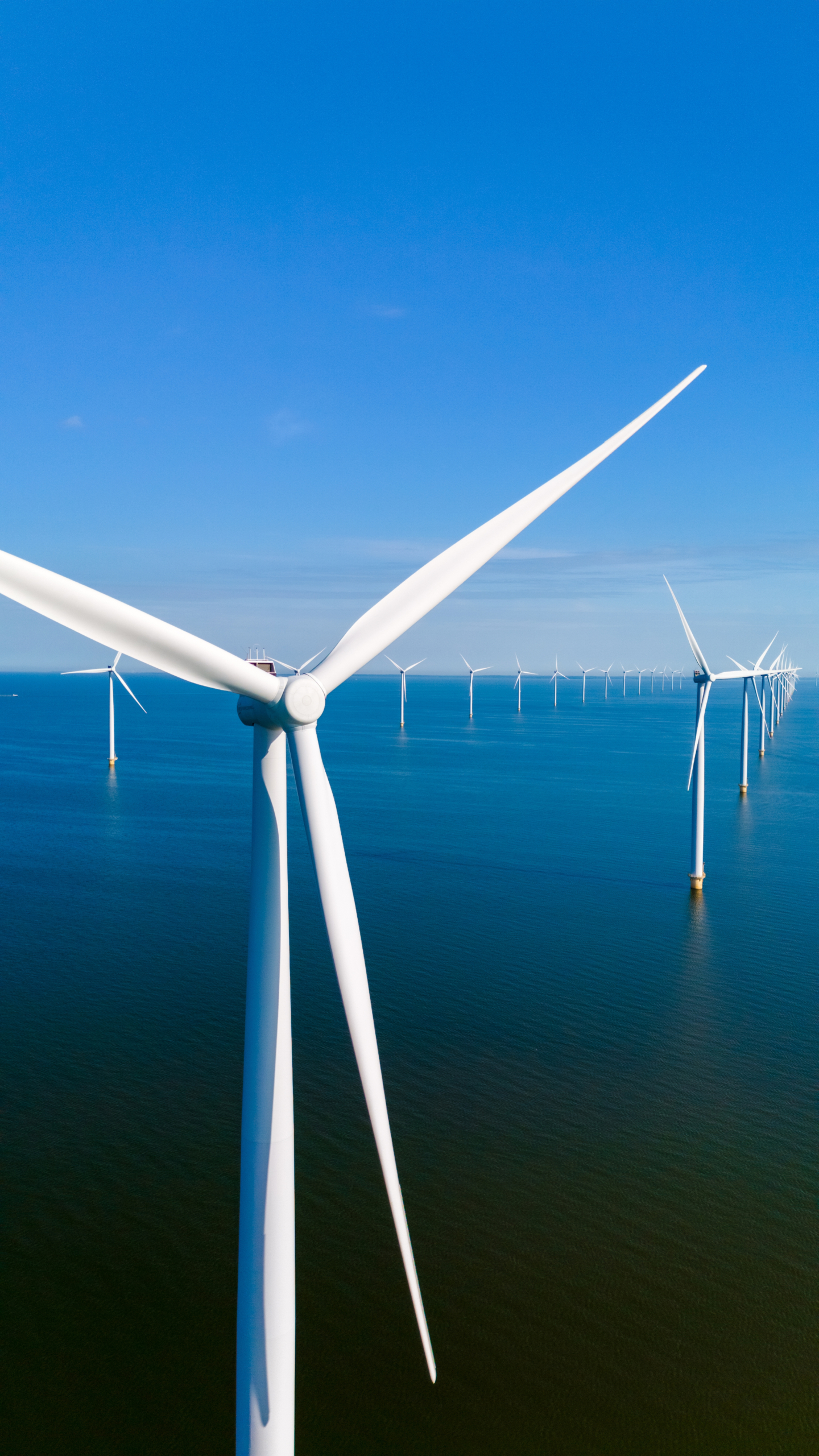 ESG wind farm in sea blue sky
